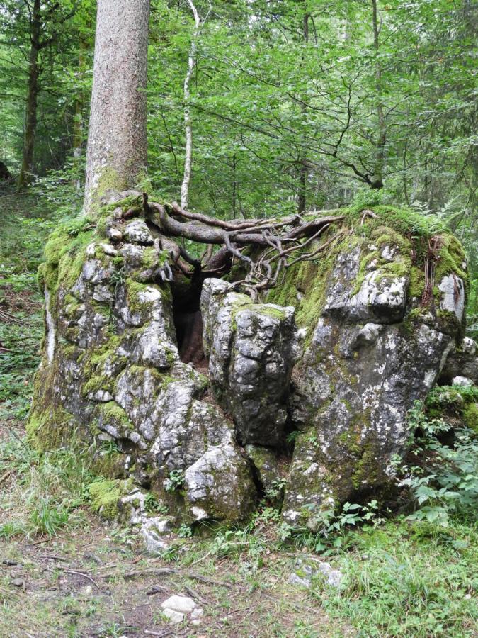 Kraehenberg Am Rande Der Wildnis Apartment Sibratsgfäll Exterior photo